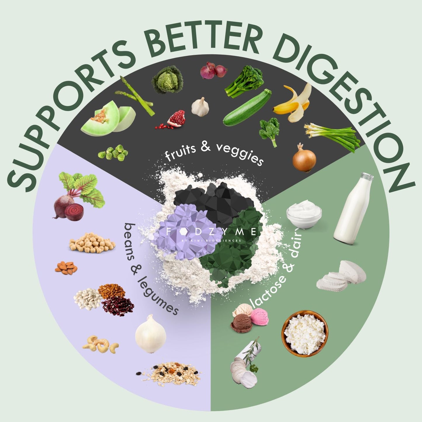 FODZYME® Home Kit Digestive Enzymes